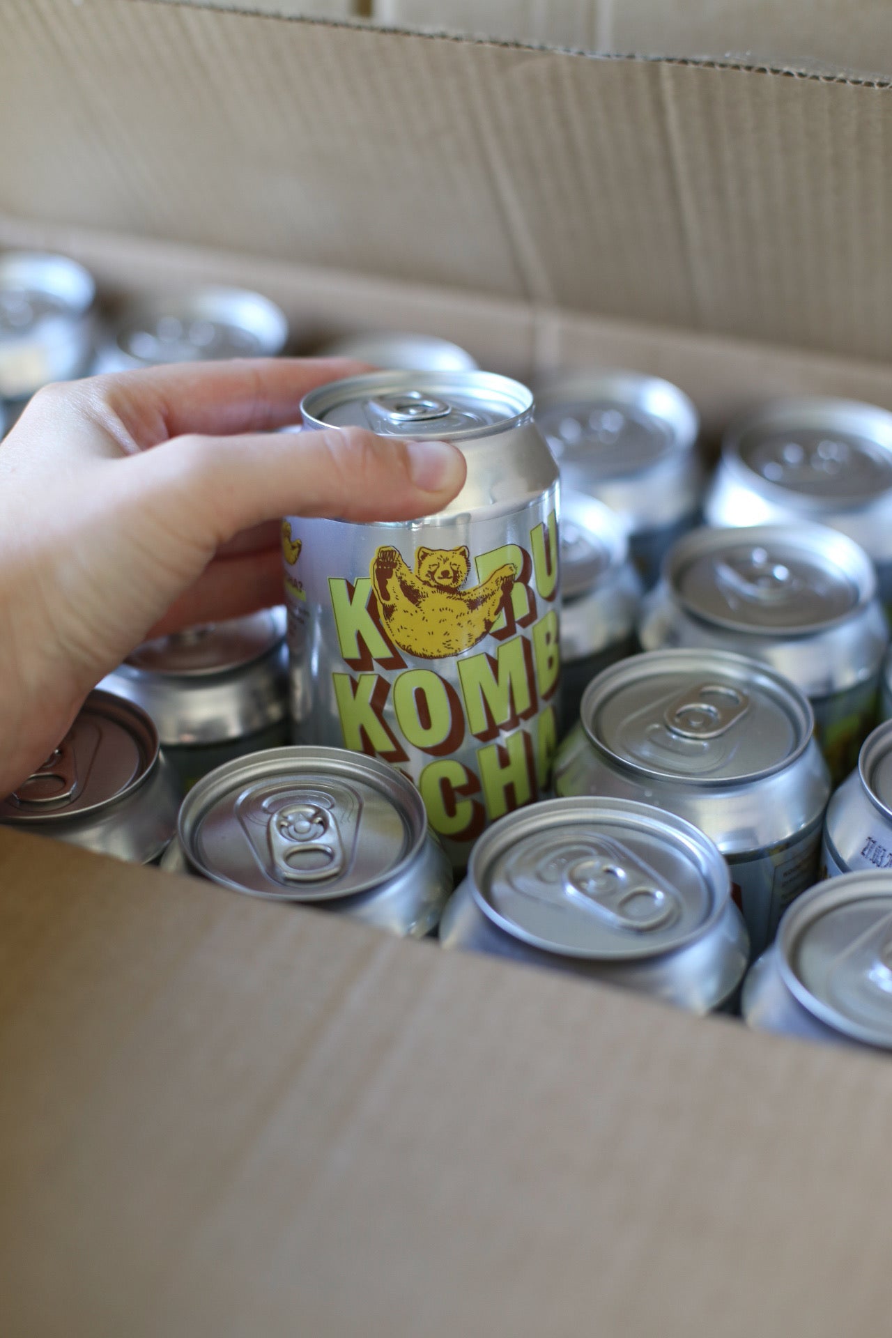 Kombucha Kombo Pakid
